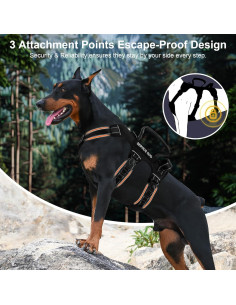 Arnés para Perros Grandes Yungaspy XL Negro Ajustable 2