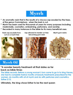 Aceite Facial Reina Esther 29.57 ml - Belleza Natural BIBLE 2