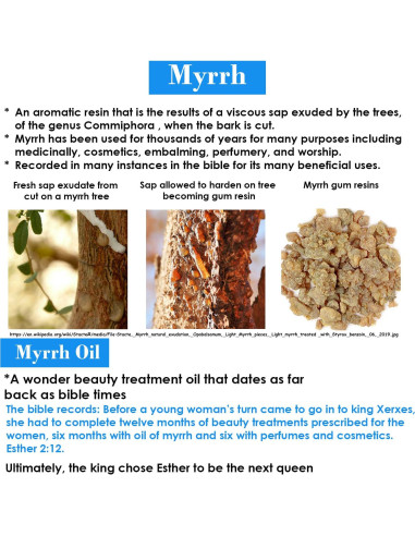 Aceite Facial Reina Esther 29.57 ml - Belleza Natural BIBLE