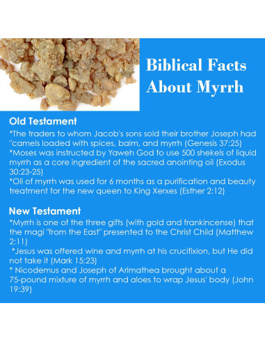 Aceite Facial Reina Esther 29.57 ml - Belleza Natural BIBLE