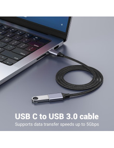 Adaptador USB-C macho a USB hembra Pastall 2 m 3A 2