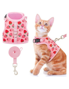 Arnés para Gato BINGPET Mediano Fresa Ajustable y Seguro