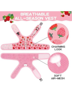 Arnés para Gato BINGPET Mediano Fresa Ajustable y Seguro 2