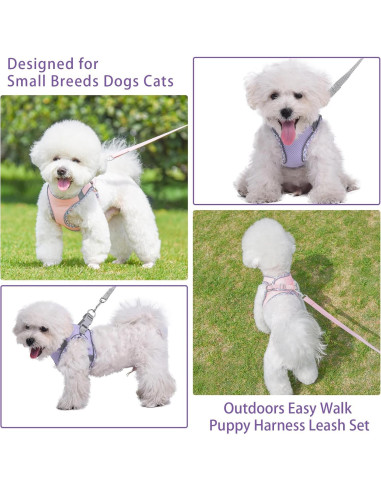 Arnés de Perro Sin Tirones PETPUBGNZS XXS Púrpura Malla Suave