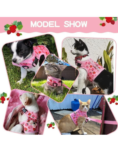 Arnés para Gato BINGPET Mediano Fresa Ajustable y Seguro