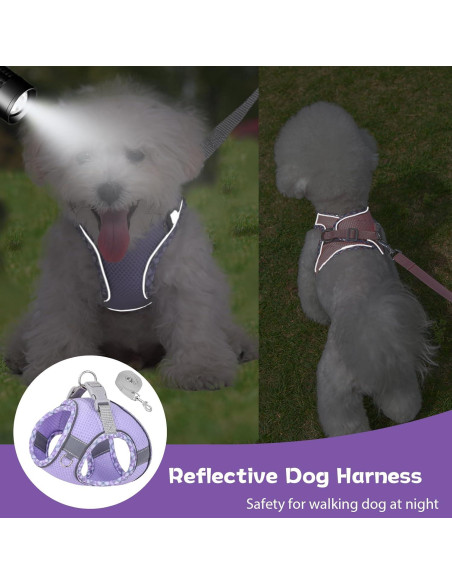 Arnés de Perro Sin Tirones PETPUBGNZS XXS Púrpura Malla Suave