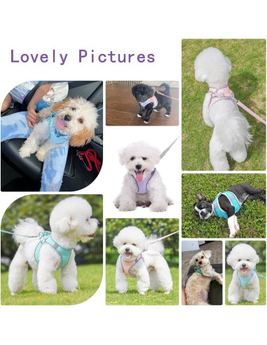 Arnés de Perro Sin Tirones PETPUBGNZS XXS Púrpura Malla Suave