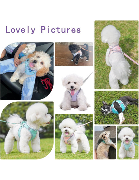 Arnés de Perro Sin Tirones PETPUBGNZS XXS Púrpura Malla Suave