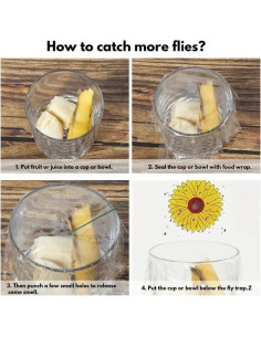 Trampa de Moscas de Ventana Lulurose - Paquete de 20 Unidades 2