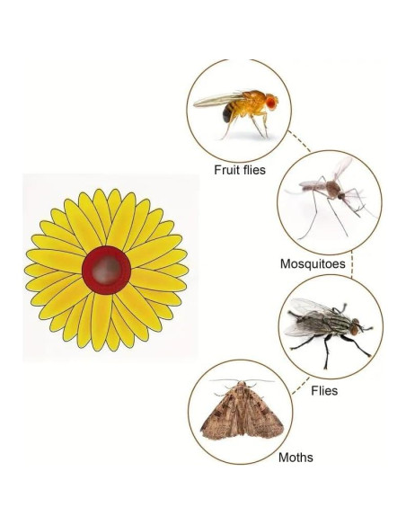 Trampa de Moscas de Ventana Lulurose - Paquete de 20 Unidades