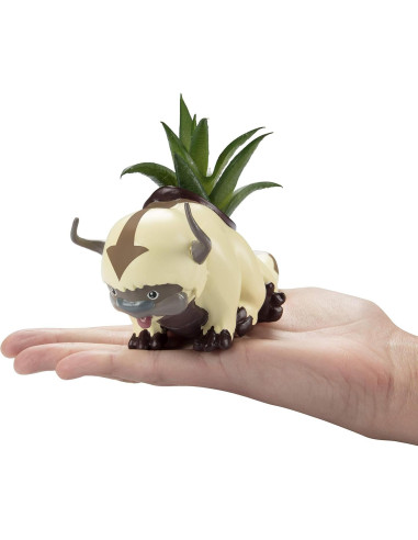 Maceta Appa Bisonte Volador SCS Direct con Suculenta Falsa