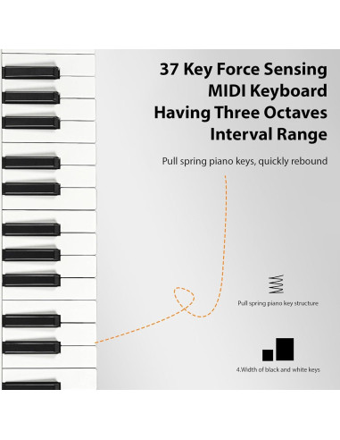 Controlador MIDI 37 Teclas Btuty con Almohadillas RGB y Faders