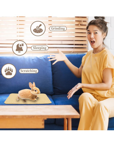 Alfombrilla de Rascado para Conejos Aifong 40.6x30.5cm 2 Pcs