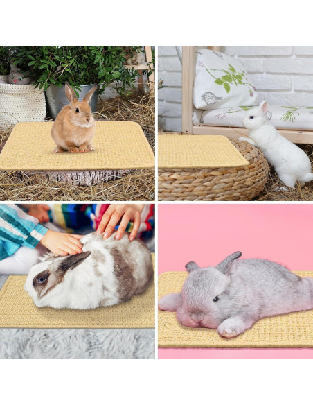 Alfombrilla de Rascado para Conejos Aifong 40.6x30.5cm 2 Pcs