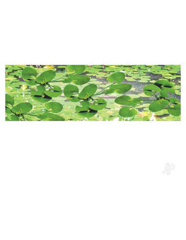 Plantas de Jardinería Nenúfares HO JTT 12 Unidades 1.9 cm