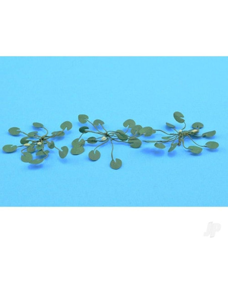 Plantas de Jardinería Nenúfares HO JTT 12 Unidades 1.9 cm