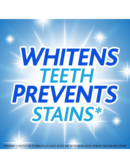 Chicle Trident Blanco Menta Sin Azúcar 144 Piezas