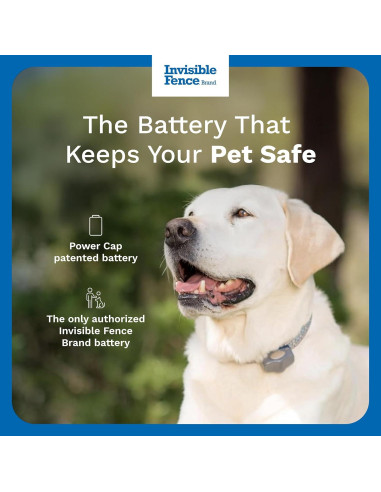 Batería Power Cap Invisible Fence - Reemplazo para collares - Paquete de 2