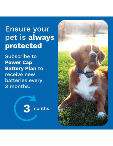 Batería Power Cap Invisible Fence - Reemplazo para collares - Paquete de 2