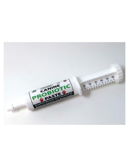 Pasta Probiótica Canina Dogzymes 60g - Alivio Digestivo Natural