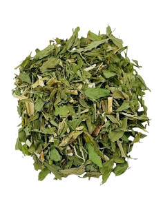 Hierba de Rue de Cabra 56.7g Solo Therapy - Té Purificante 2