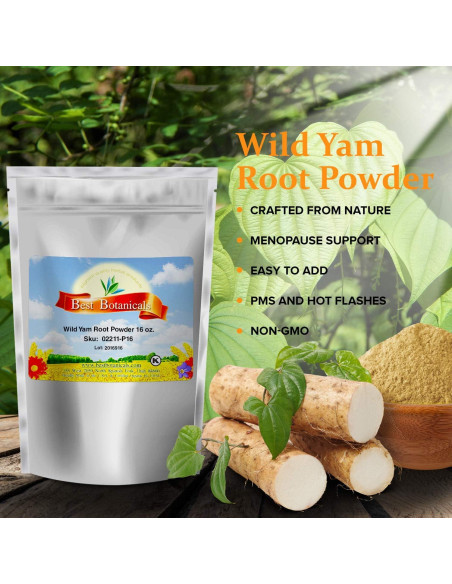 Polvo de Raíz de Ñame Silvestre 454 g - Mejor Botánicos