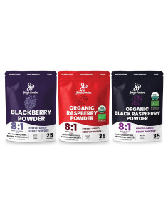 Polvo de Frambuesa Negra Orgánica Jungle Powders 141.75g