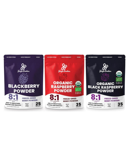 Polvo de Frambuesa Negra Orgánica Jungle Powders 141.75g