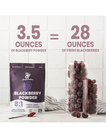 Polvo de Frambuesa Negra Orgánica Jungle Powders 141.75g