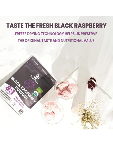 Polvo de Frambuesa Negra Orgánica Jungle Powders 141.75g