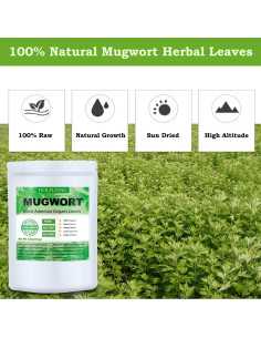 Hojas Secas de Artemisa 200g Holfcitylf - Té Natural Sin OGM 2