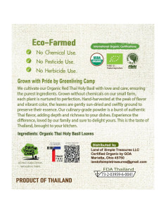 Polvo de Albahaca Sagrada Tailandesa Orgánica 113.4g - Sazonador Gourmet 2