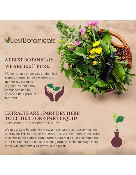 Polvo de Raíz de Hortensia 450g Mejor Botánicos Orgánico