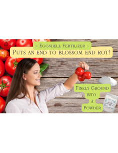 Fertilizante Natural en Polvo de Cáscara de Huevo 113g 2