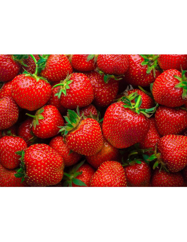 Polvo de Fresa Orgánico Food to Live 170g - Sin OGM, Liofilizado