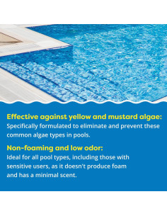 In The Swim Algaecida Líquido 0.95L - Control de Algas Amarillas 2