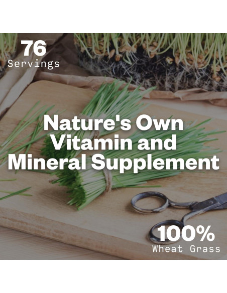 Purisure Polvo de Pasto de Trigo 240g - Superalimento Verde