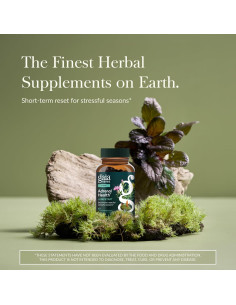 Cápsulas Vegetales Gaia Herbs Salud Adrenal 60 Unidades 2