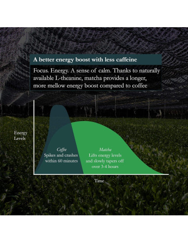 Matcha Verde en Polvo Ceremonial Naoki Yame 100g - Sabor Dulce