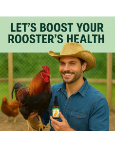 Agaricus Bio CX30 - Suplemento Orgánico para Gallinas 30ml 2