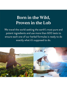 Cápsulas Digestivas Nature's Sunshine CLT-X 100 Unidades 2