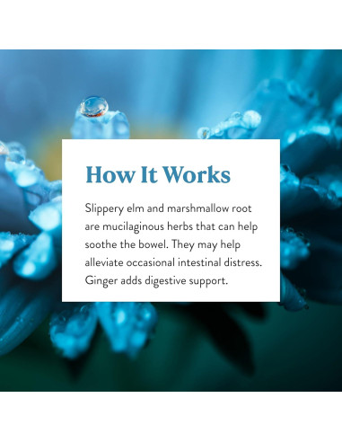 Cápsulas Digestivas Nature's Sunshine CLT-X 100 Unidades