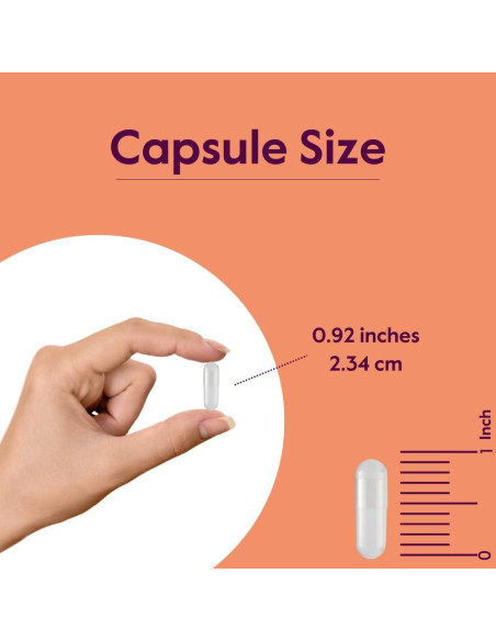 Fosfatidilserina 100mg Bestvite - 240 Cápsulas Veganas
