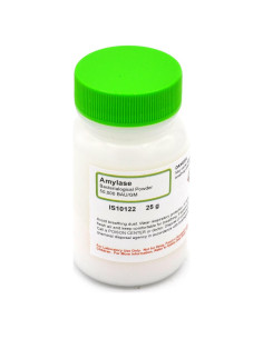 Polvo de Amilasa Innovating Science 25g - Enzima Hidrolítica