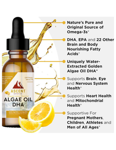 Aceite de Algas DHA Omega-3 Ascent Nutrition 60ml Vegano