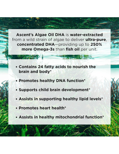 Aceite de Algas DHA Omega-3 Ascent Nutrition 60ml Vegano