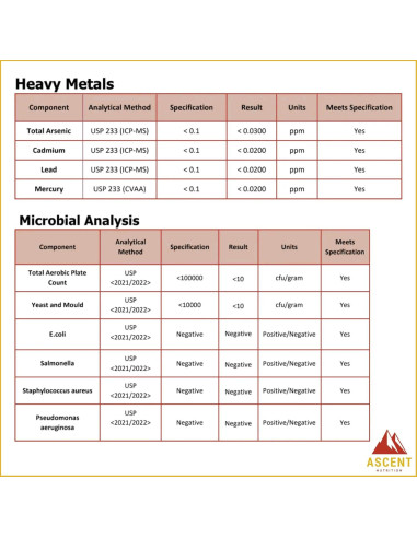 Aceite de Algas DHA Omega-3 Ascent Nutrition 60ml Vegano