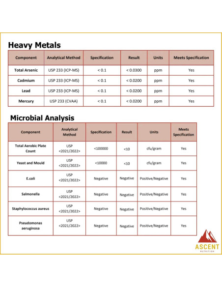 Aceite de Algas DHA Omega-3 Ascent Nutrition 60ml Vegano
