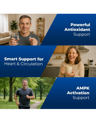 Suplemento de Berberina HCL Nos Gustan las Vitaminas 1200mg - 60 Cápsulas Vegetarianas