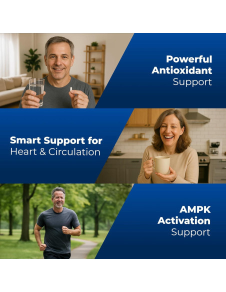 Suplemento de Berberina HCL Nos Gustan las Vitaminas 1200mg - 60 Cápsulas Vegetarianas